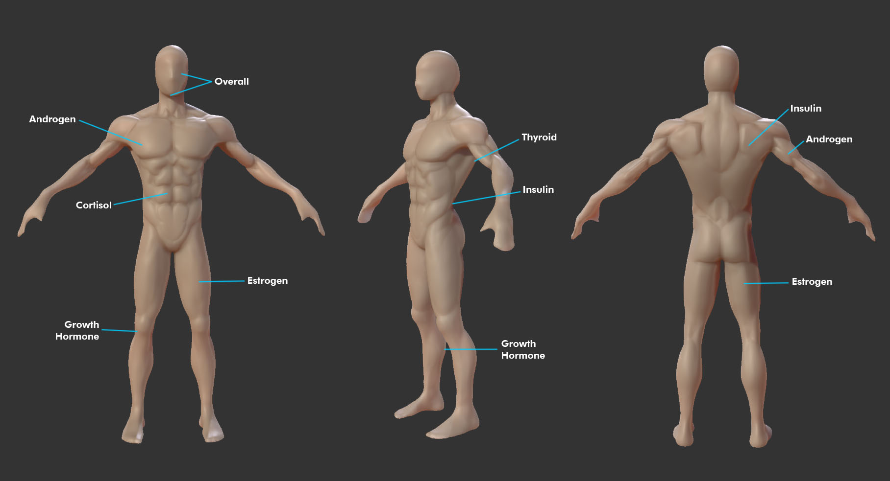 biosig diagram